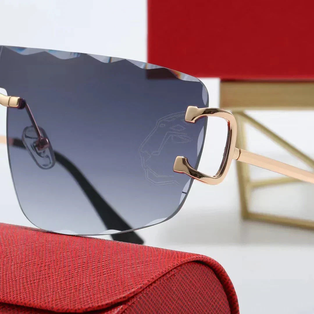 2025 Shield Sunglasses