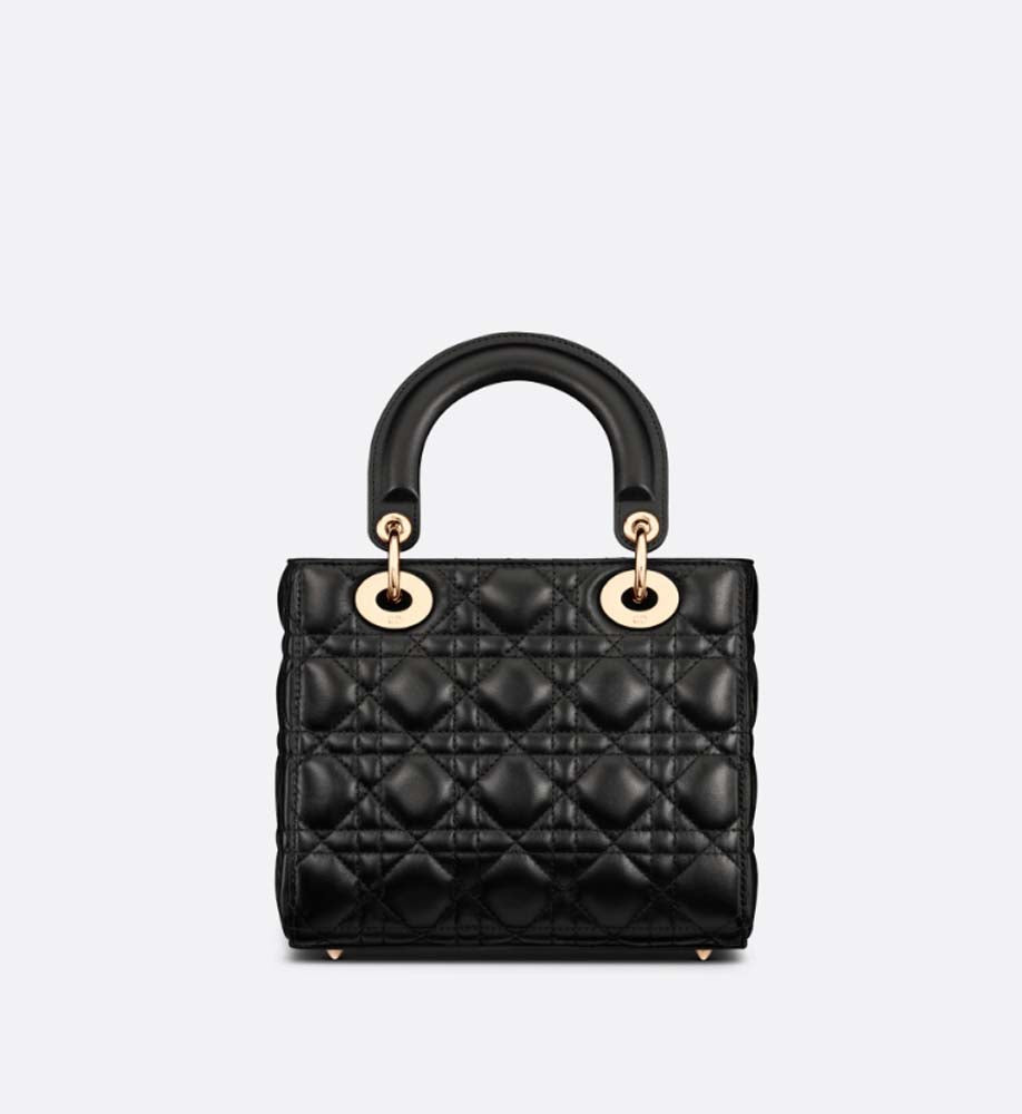 2025 Bag SMALL LADY D BAG