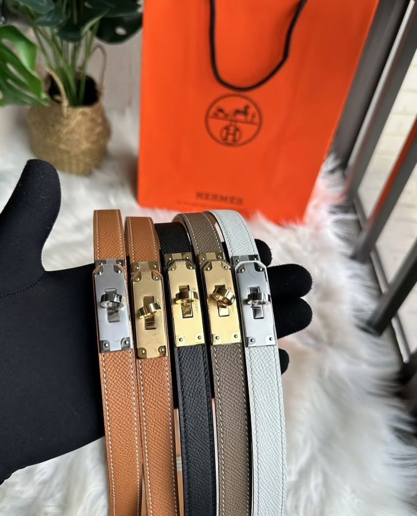 2025 Kelly 18 Belt