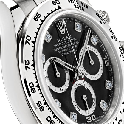 2025 Watch Daytona 116509 White Gold Black Diamond Dial (2022)